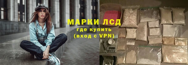 прущие грибы Белокуриха