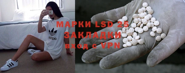 прущие грибы Белокуриха