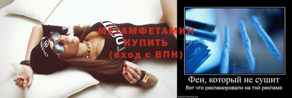 прущие грибы Белокуриха