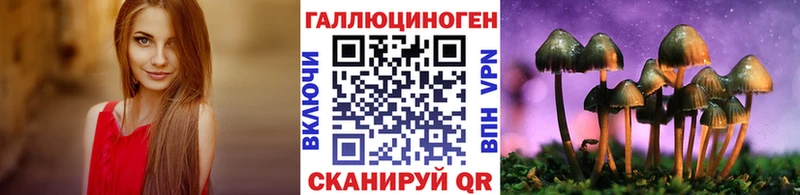 Галлюциногенные грибы Psilocybine cubensis Кушва
