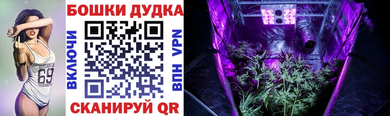 Канабис SATIVA & INDICA  Кушва 